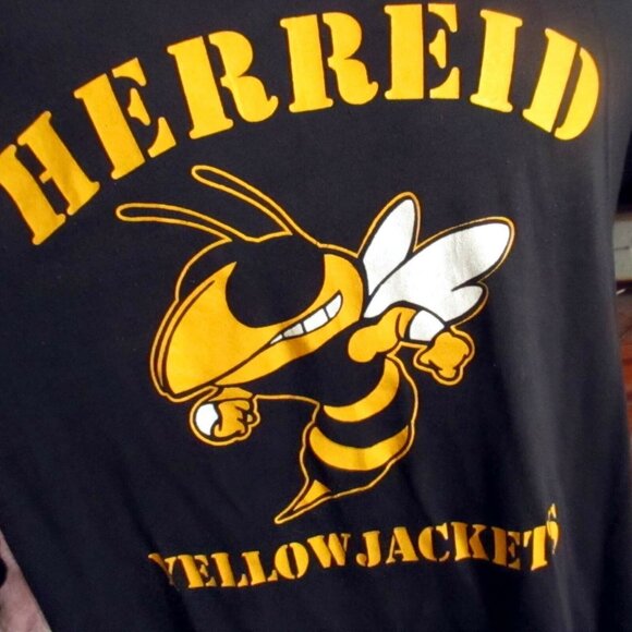 Single Stitch Vintage T-shirt 1980's Men's Large South Dakota High School Hornet - Picture 7 of 7